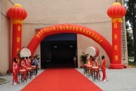 上海世博会新能源场馆发车仪式
